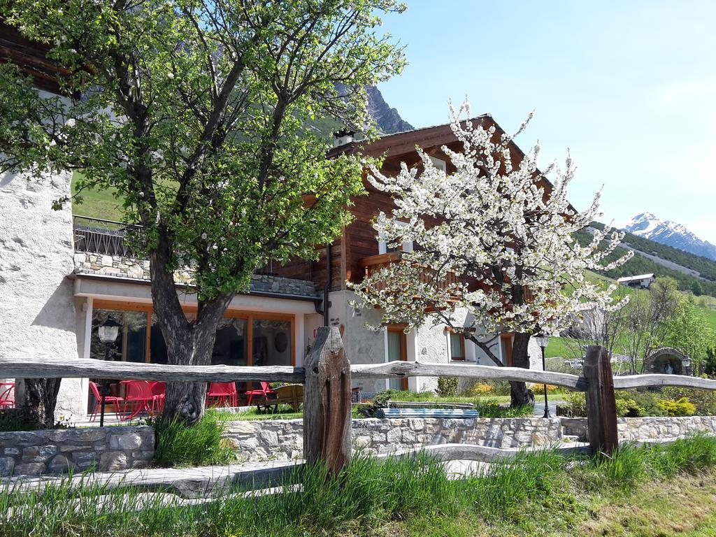 Agriturismo Raethia Isolaccia Exterior foto